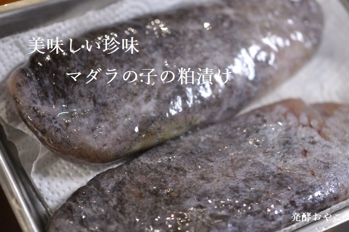マダラの子の粕漬け