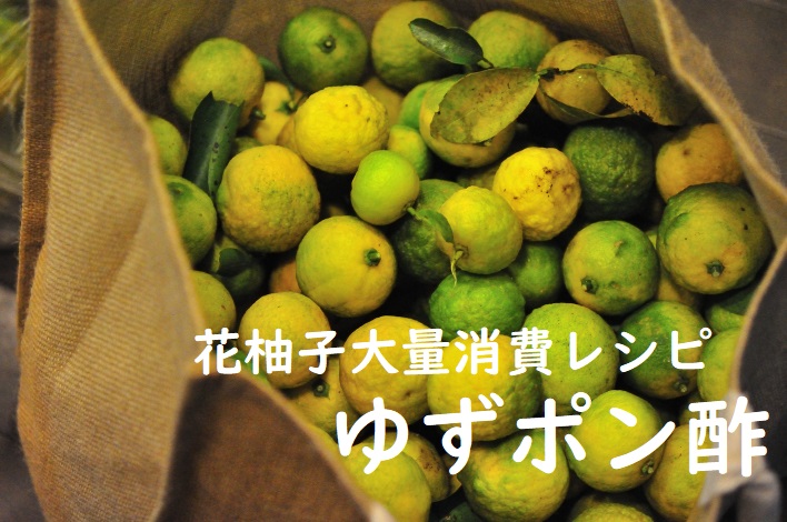 花柚子大量消費レシピポン酢
