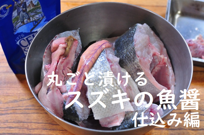丸ごと漬けるスズキの魚醤タイトル