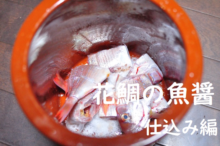 花鯛の魚醤タイトル