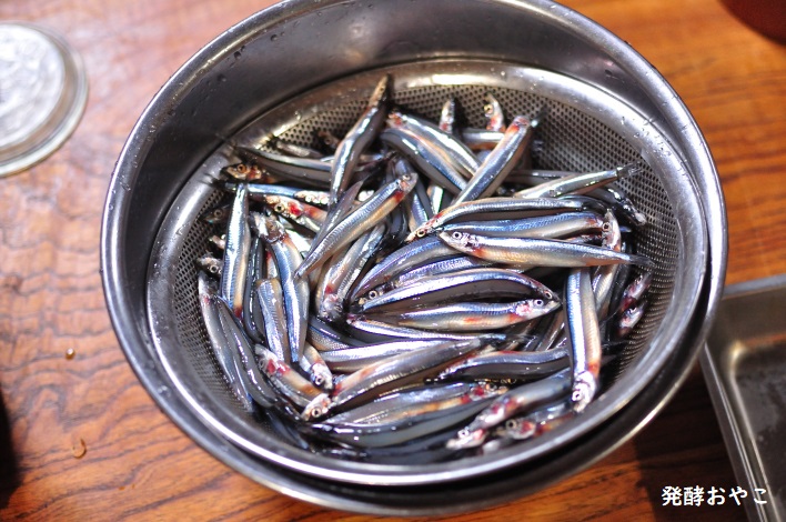 水を切ったキビナゴ