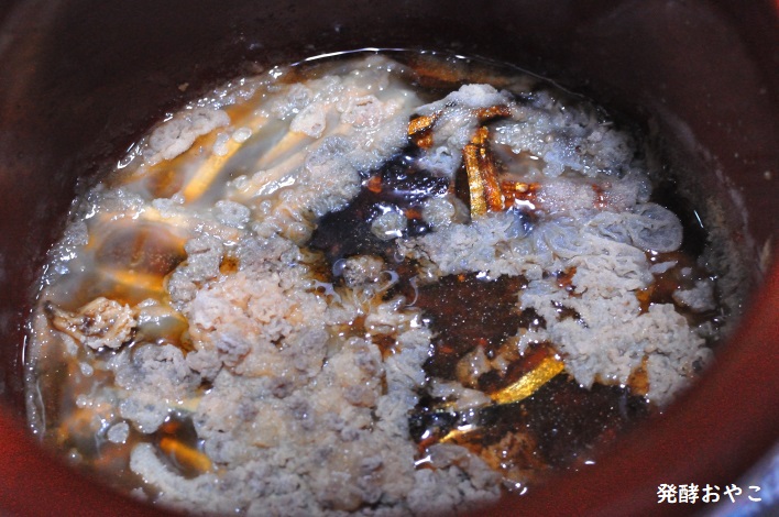 魚醤に発生にする産膜酵母