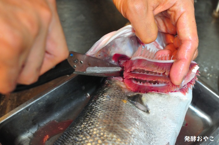 スズキのエラを取る