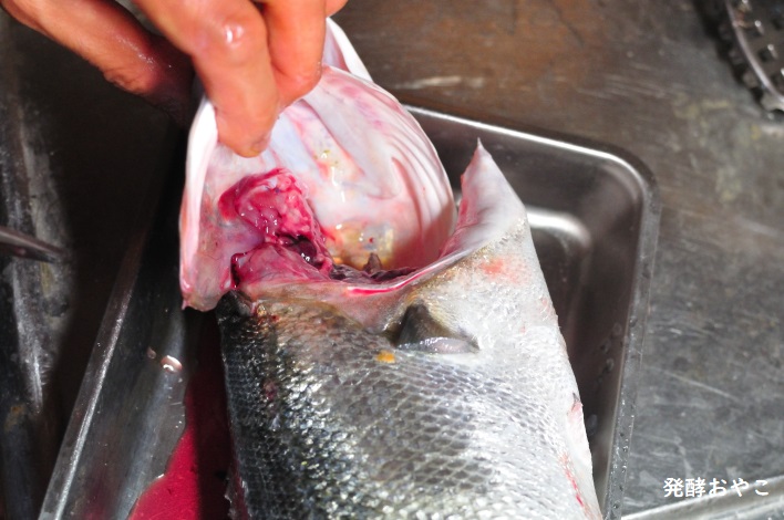 エラを取ったスズキ