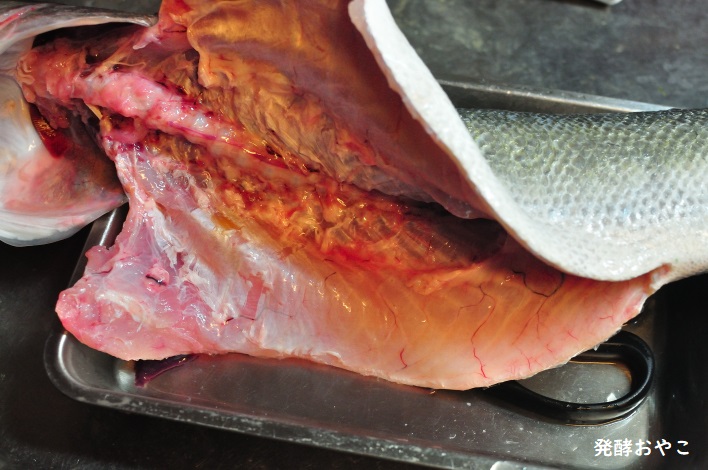 内臓を取り除いたスズキ