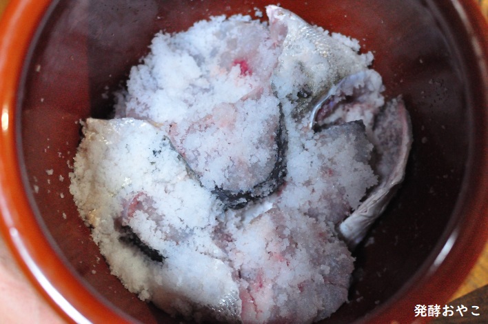 スズキの魚醤、最後は塩で蓋をする