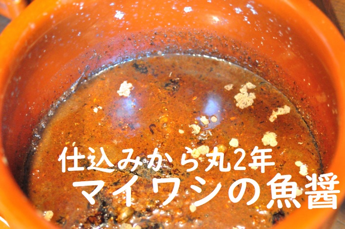 仕込みから丸2年マイワシの魚醤タイトル