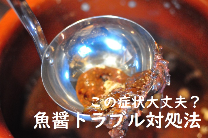 魚醤トラブル対処法タイトル