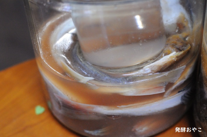 白身魚の魚醤、初期の濁った様子